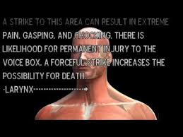 attack vital targets