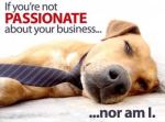 lack of sales passion pic