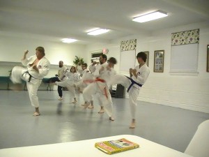 Sensei Tim leading students in kicking drills.