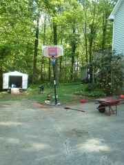 Goal reconstruction (4)