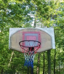 Goal reconstruction (5)