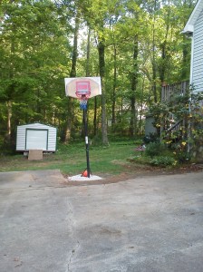 Goal reconstruction (7)