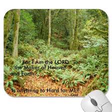 The Lord of the Woods