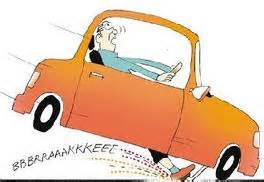 Dales article pic #4