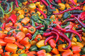 A sea of Hot Peppers