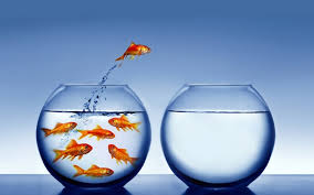 Think outside the box 2 db