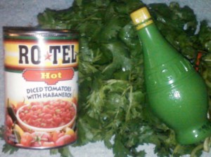cilantro lime salsa mix for hot peppers