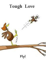 kicking the bird out of the nest