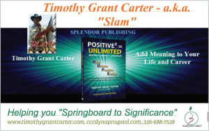 Speaking event banner Springboard to Significance