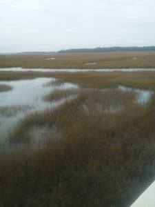 tidal waters renewed each day