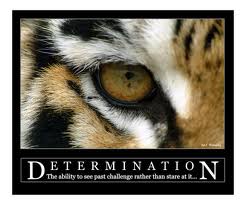 NEAL BRAMLEY DETERMINATION PHOTO