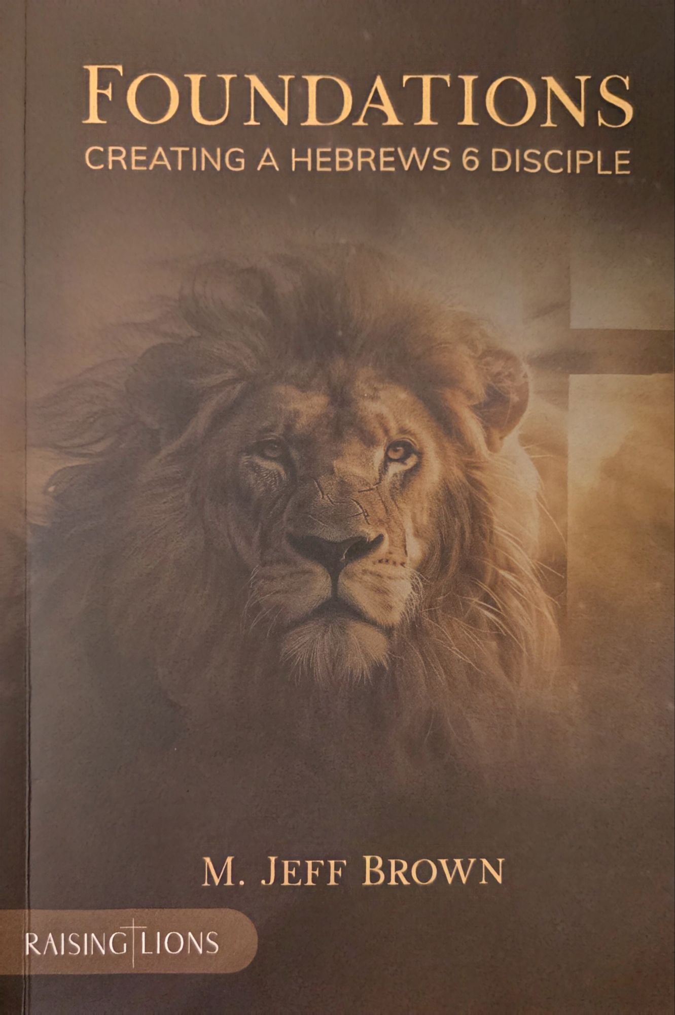 Jeff Brown S Discipleship Book Gutsisthekey